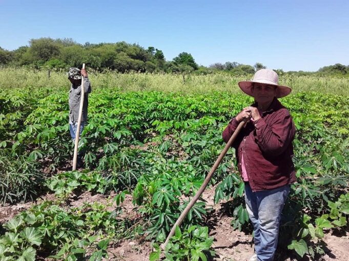 Las últimas lluvias fueron positivas para la producción, destacó Sotelo