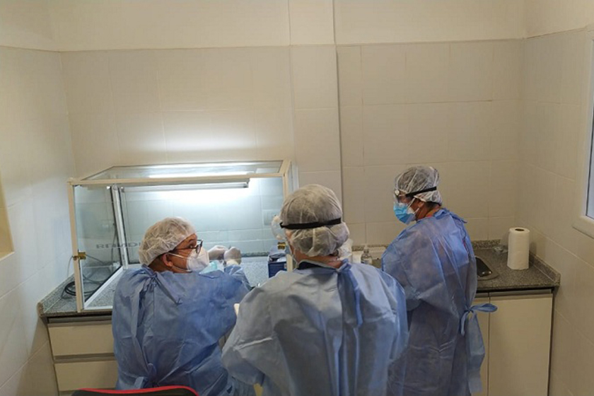 Laguna Blanca: Ya está funcionando un nuevo laboratorio para PCR