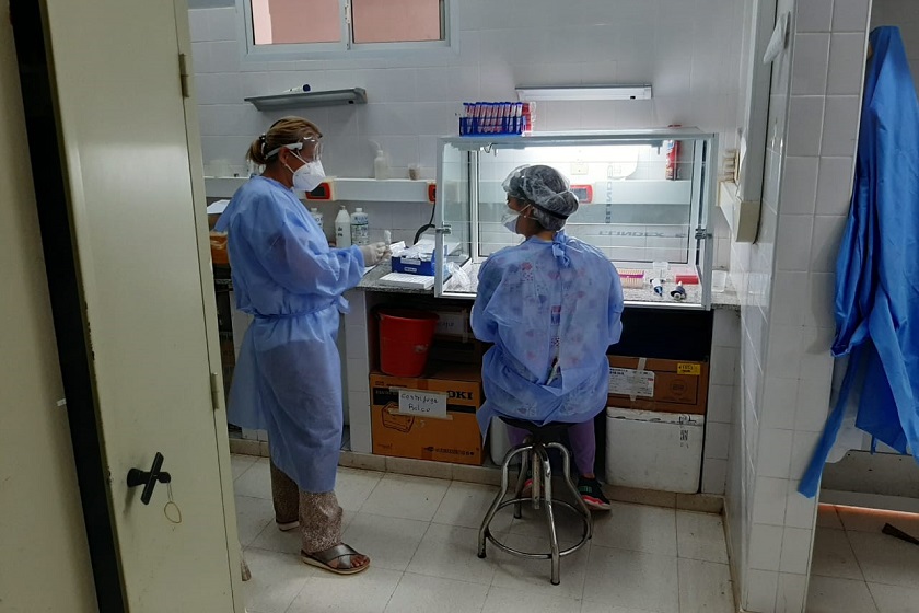 Red de laboratorios provincial: sumaron dos en El Colorado y Pirané para procesar muestras de hisopado