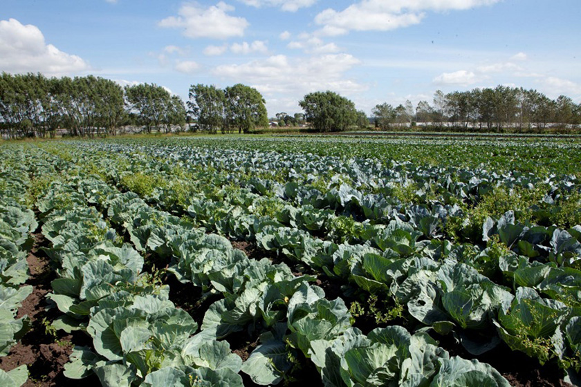 La agricultura seguirá fortaleciendo a la familia paippera en la producción de alimentos para toda la provincia