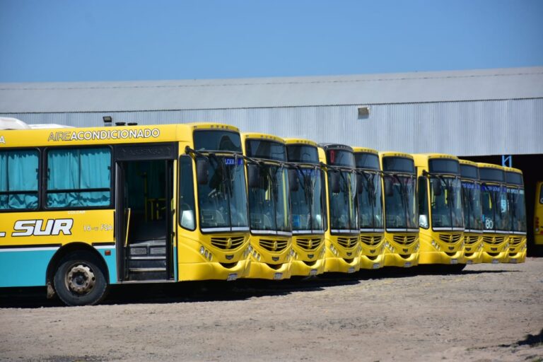 El gobernador Insfrán anunció la prórroga al transporte público de la ciudad de Formosa