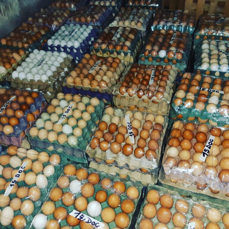 Productores de Riacho He Hé refuerzan el trabajo para la entrega de productos