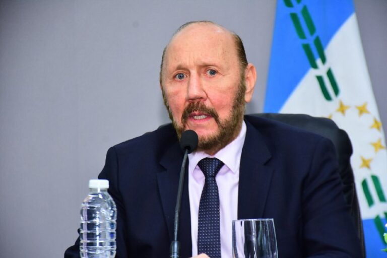 Insfrán: “Tomamos las medidas necesarias porque cuidamos la salud y la vida de los formoseños”