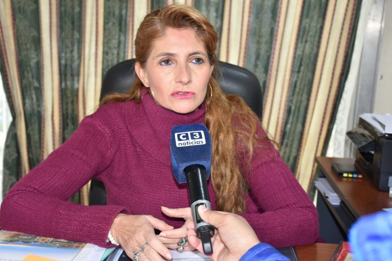 Elecciones 2021: Detallan sobre las medidas a adoptar en el marco de la pandemia