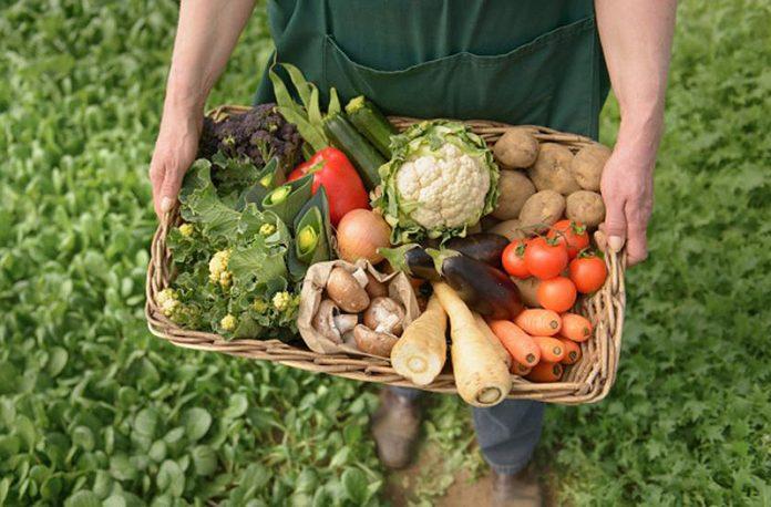 Inició la inscripción para la 4ta edición del curso en Manipulación Segura de Alimentos