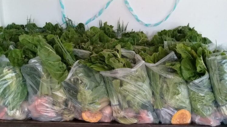 Los bolsos económicos se comercializan semanalmente en Naineck
