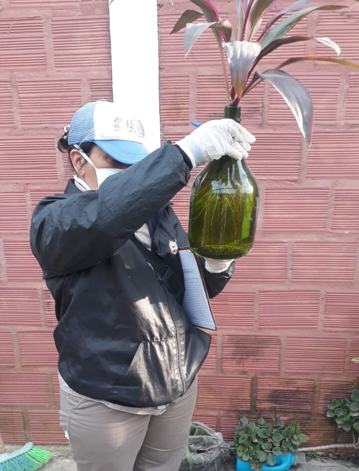Piden a los vecinos no parar con los cuidados para prevenir el dengue