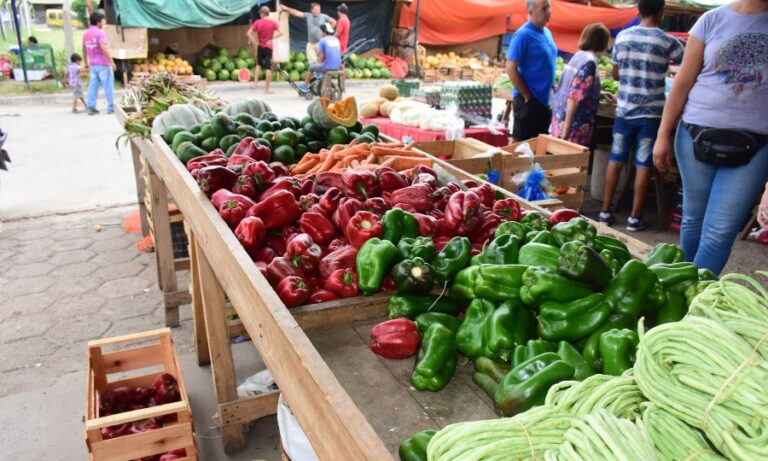 Pirané: Feria agropecuaria municipal se realizará este sábado