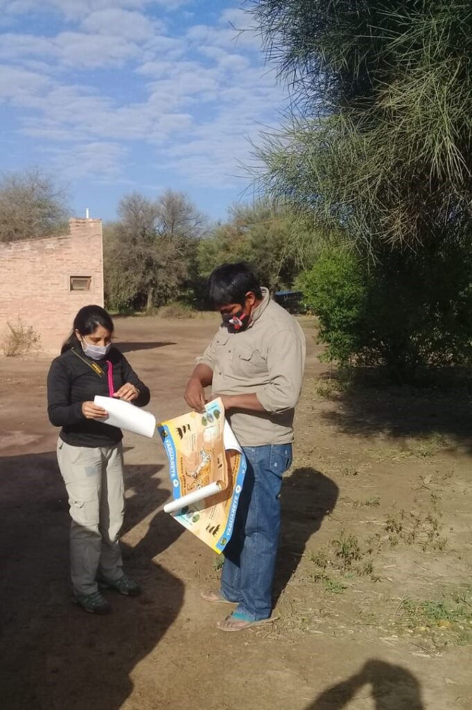Yaguareté: Formosa es una de las 6 provincias que conserva al “rey del monte»