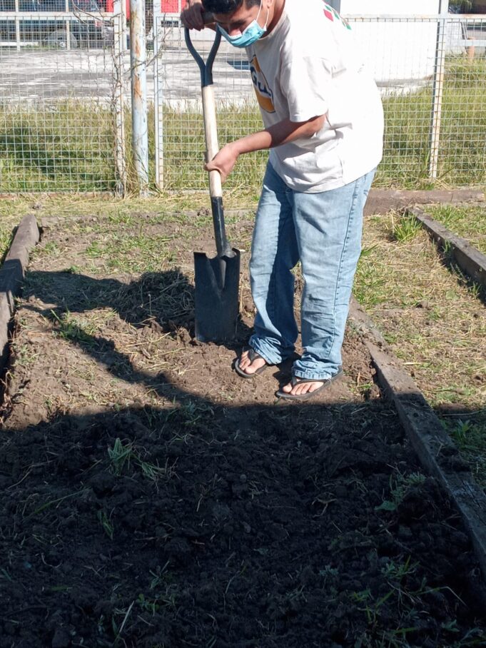 Pacientes de salud mental trabajan en la huerta como terapia de recuperación