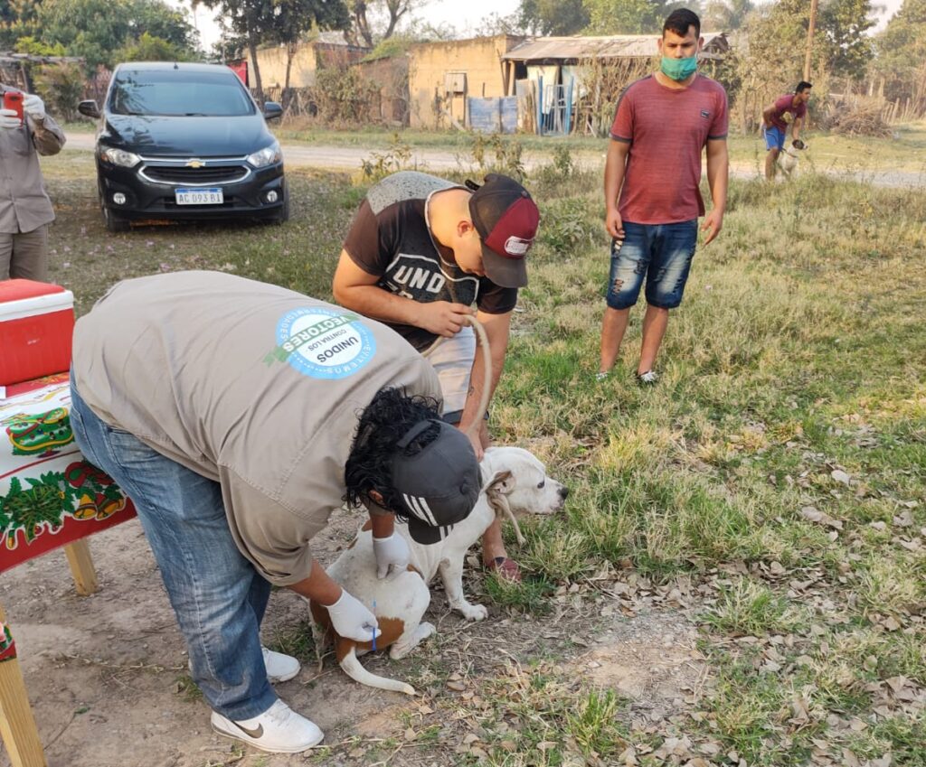 Mojón de Fierro: Reanudaron operativos gratuitos de vacunación y desparasitación de mascota