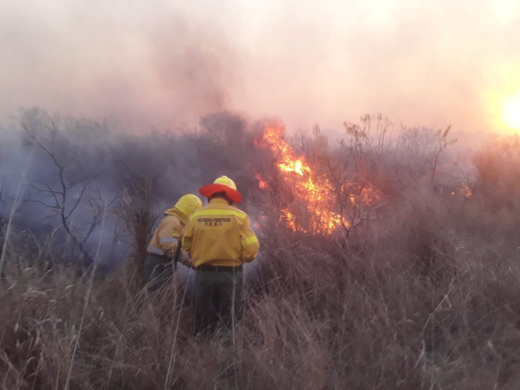 Incendios: Aumentaron las intervenciones del Cuerpo de Bomberos en esta semana