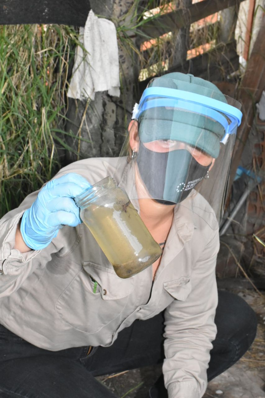 Dengue: Qué debemos hacer para evitar la enfermedad