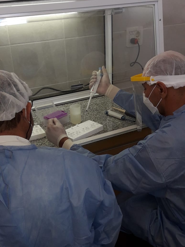 Nuevo laboratorio PCR de referencia fue instalado en el hospital de San Martín 2