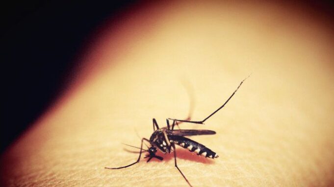 Instan a continuar con las medidas de prevención contra el coronavirus y el dengue