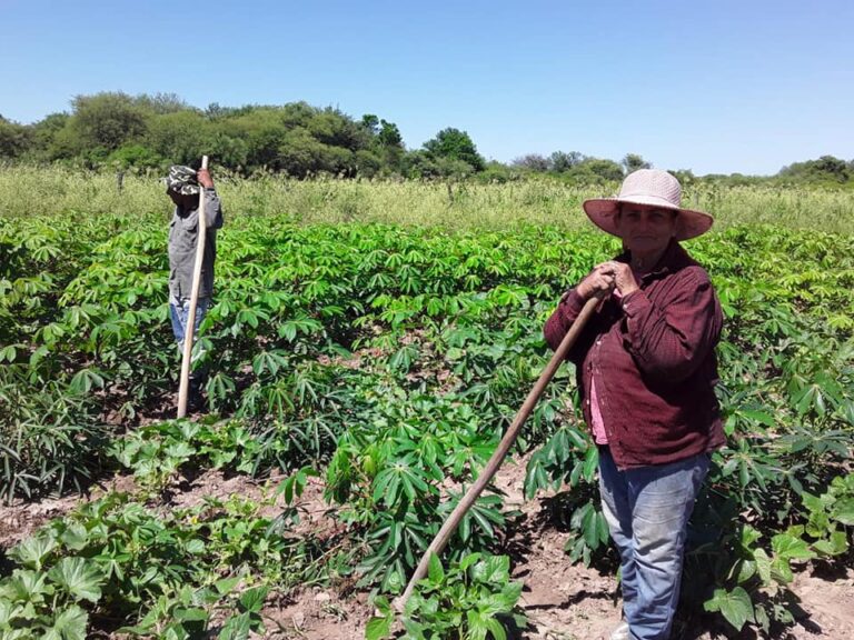 Día de los agricultores: su rol clave en el desarrollo de las comunidades