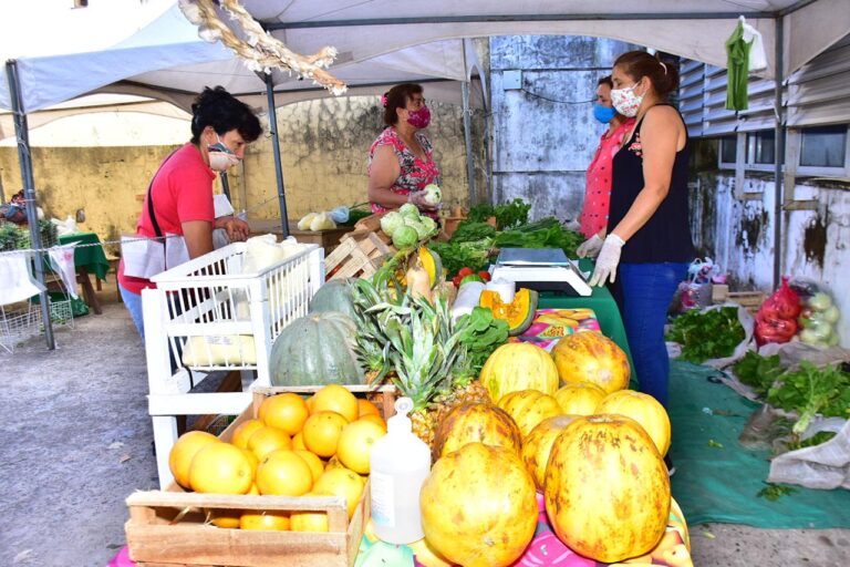 Otra edición exitosa de las ferias francas en la ciudad de Formosa