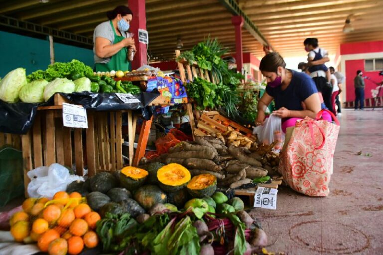 Nueva jornada de ferias paipperas en Formosa Capital