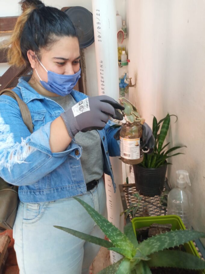 Dengue: Solicitan a los vecinos intensificar las medidas de prevención luego de las lluvias