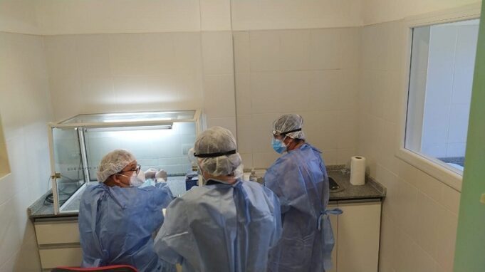 Nueva jornada sin fallecimientos ni casos nuevos de COVID-19 en Formosa