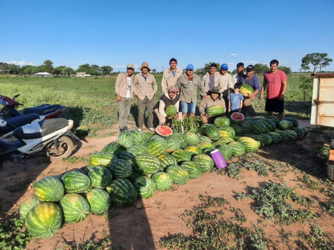 Primicia de sandías en Laguna Yema: salieron más de 30 mil kilos de la zona