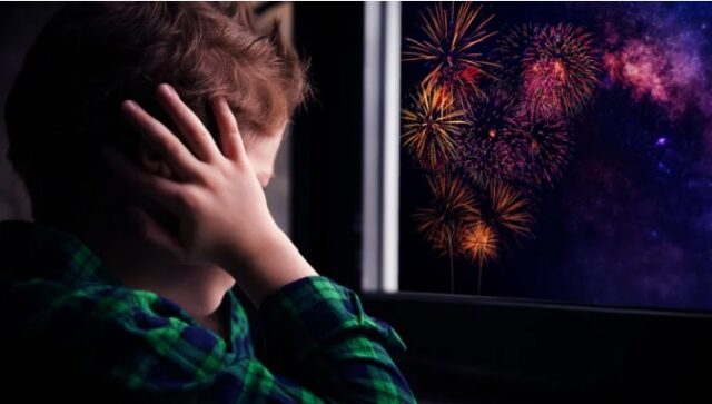 “Con más luces y menos ruidos vamos a lograr que en las fiestas todos podamos estar bien”