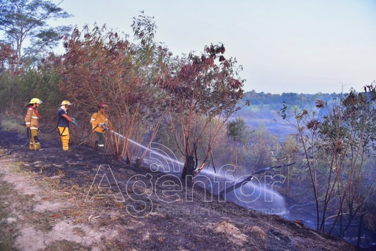 Gobierno de Formosa solicita responsabilidad para evitar generar incendios