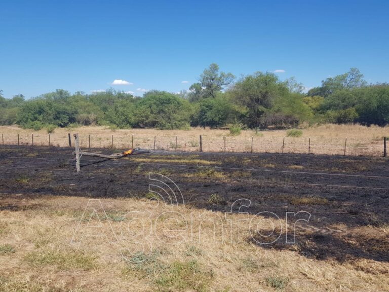 La agricultura, la más afectada por el déficit hídrico y las altas temperaturas en la provincia, según informes preliminares