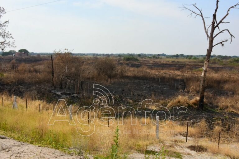 Incendios: El Cuerpo de Bomberos realiza alrededor de 30 intervenciones diarias