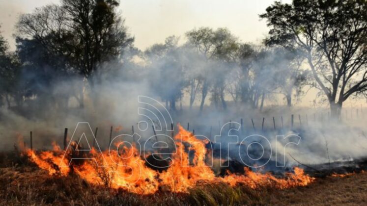 “Las lluvias colaboran en frenar el avance del fuego de los incendios” analizaron desde el INTA
