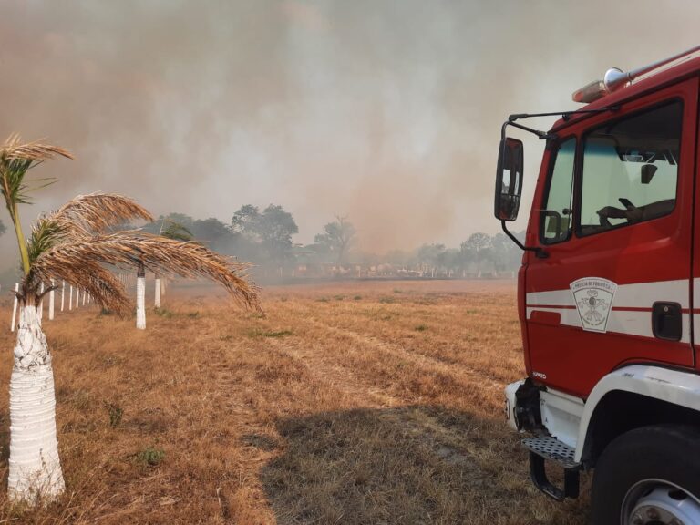 Sólo en enero, los bomberos intervinieron en 366 incendios en campos y basurales
