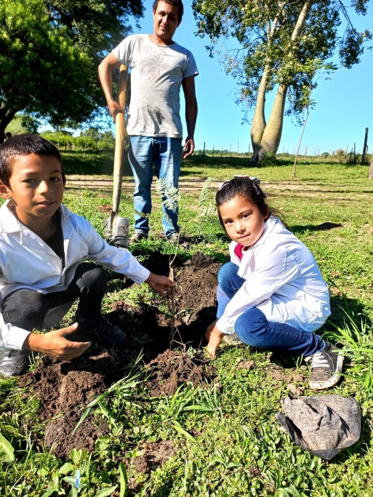 Una cooperadora, un árbol: el proyecto educativo de las Cooperadoras Escolares