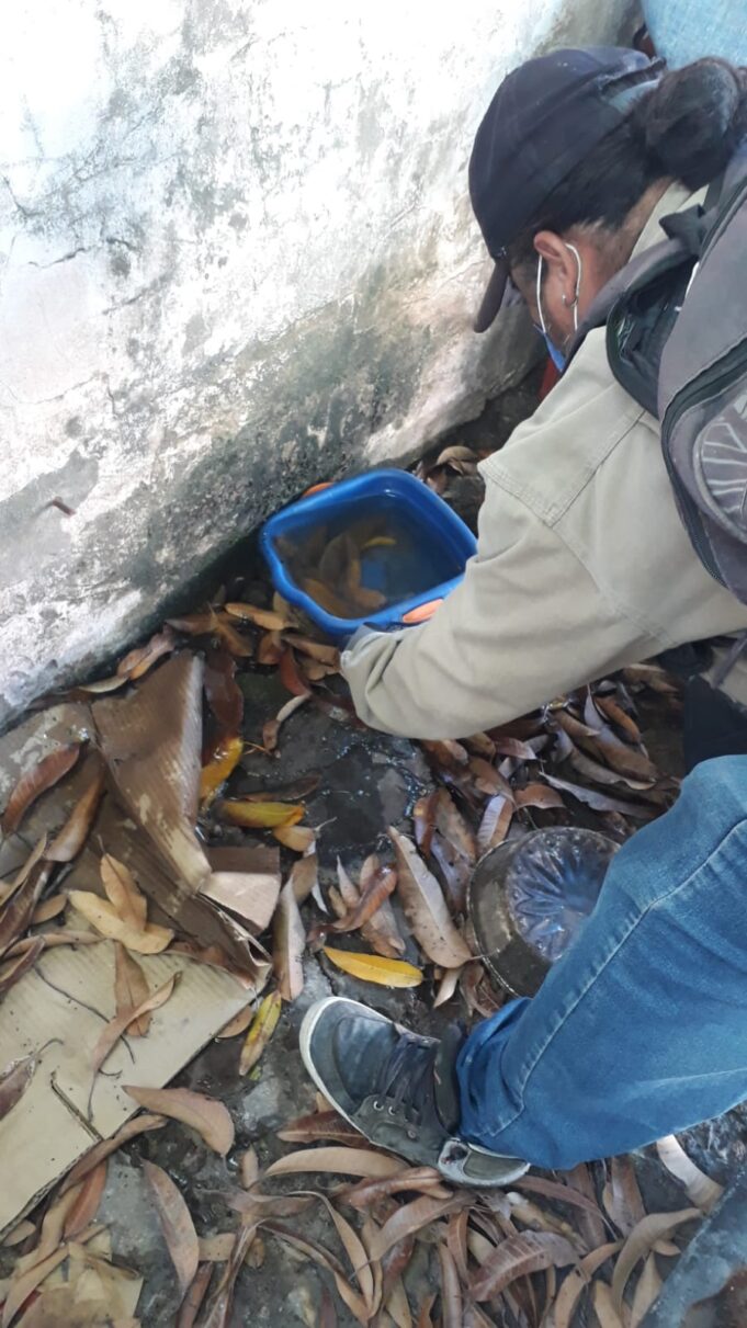 La lucha contra el dengue sigue en pie y es responsabilidad de todos