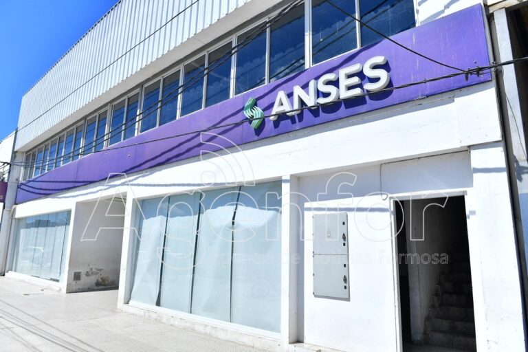 Abonan la Asignación por Embarazo y la beca Progresar, por terminación de DNI