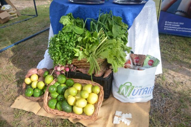 Nutrir: “Trabajamos para que sea lo más integral y completo posible para la familia formoseña”