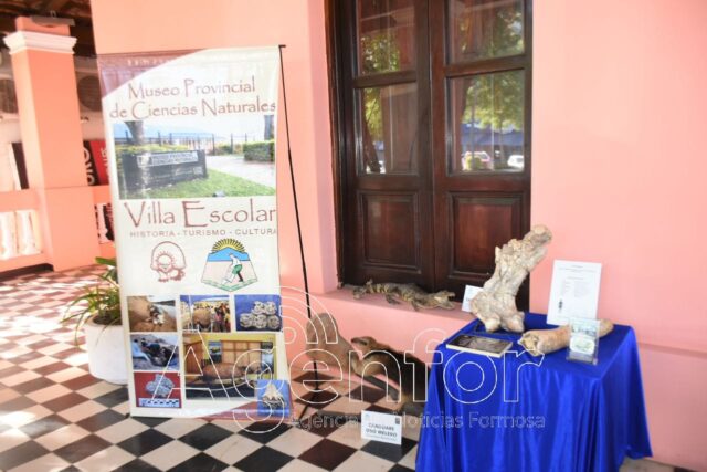 Se llevó a cabo una exposición por el Día Internacional de los Museos