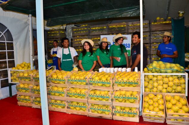 Laguna Blanca se prepara para el Fiesta del Pomelo