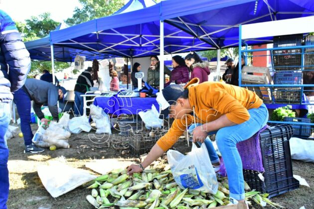 Exitosa edición especial por el Día del Padre de Soberanía Alimentaria Formoseña