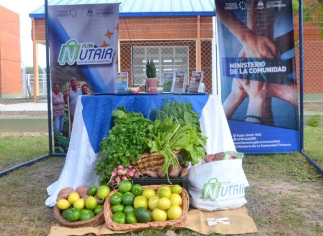 Destacan el alto valor nutricional de los bolsones del Plan Nutrir