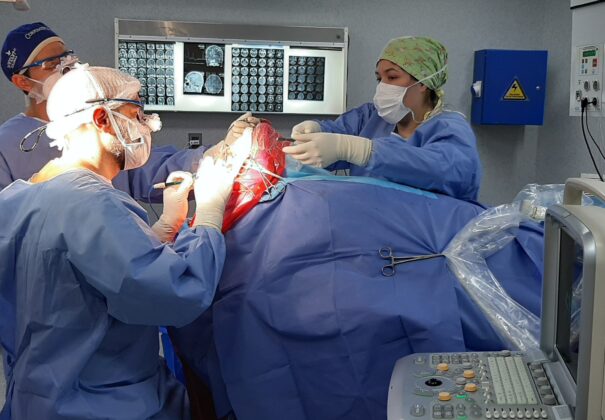 HAC: El Departamento de Neurociencias ofrece a los pacientes una atención multidisciplinaria