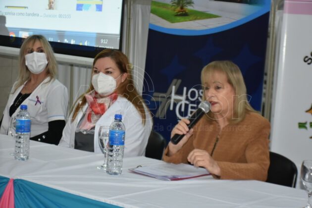 La Secretaría de la Mujer llevó a cabo una nueva capacitación por la Ley Micaela