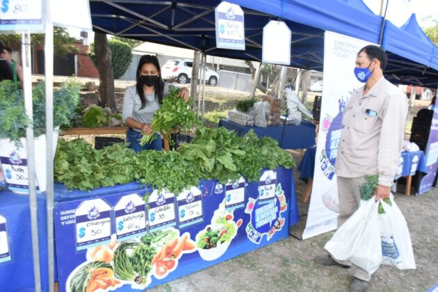 Soberanía Alimentaria continúa manteniendo calidad y precio a través de los productos paipperos