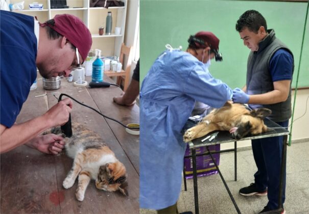 Se realizaron jornadas de castración y sanidad de mascotas en Posta Cambio Zalazar