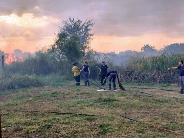 Instan a tomar medidas para prevenir incendios rurales y de pastizales