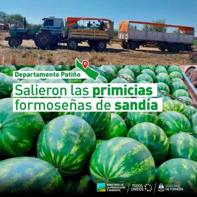 Productores formoseños del interior, enviaron los primeros equipos con más de 90 mil kg de sandía