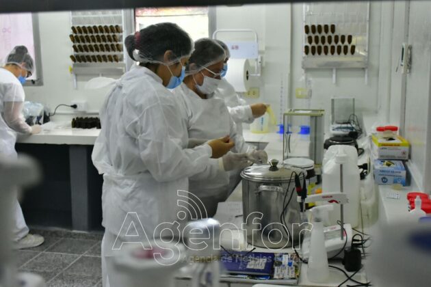 Laformed trabaja en un nuevo proyecto: crear un protector solar