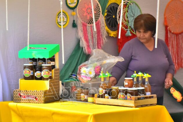 Fiesta Nacional del Pomelo: Promocionaron la capacidad productiva de la provincia 