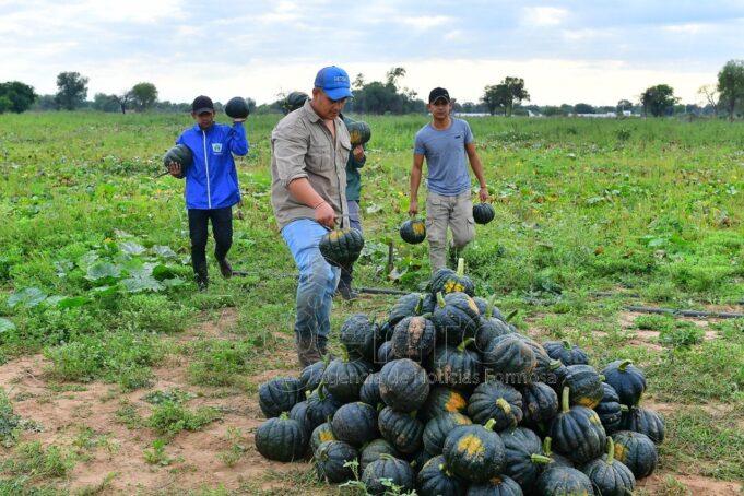 Día de la Agricultura: “El Gobierno siempre está presente acompañando a los pequeños productores”
