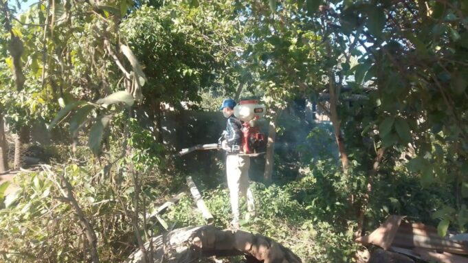 Intensivos trabajos contra el dengue en Laguna Naineck