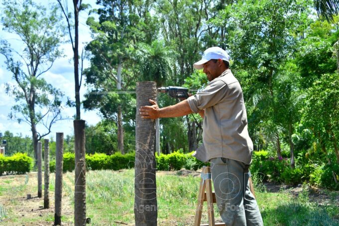 Herradura: Implementan sombráculo para cultivar hortalizas durante todo el año